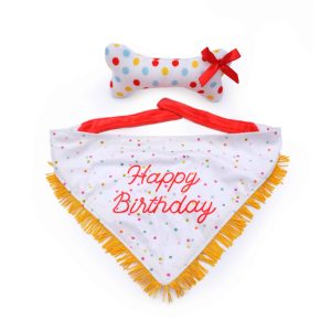 ZippyPaws Birthday Bandana and Bone Set – 2 Pack